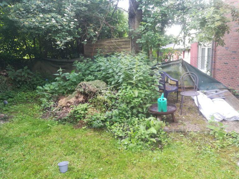 Gartenecke vor dem Bau des Sonnendecks